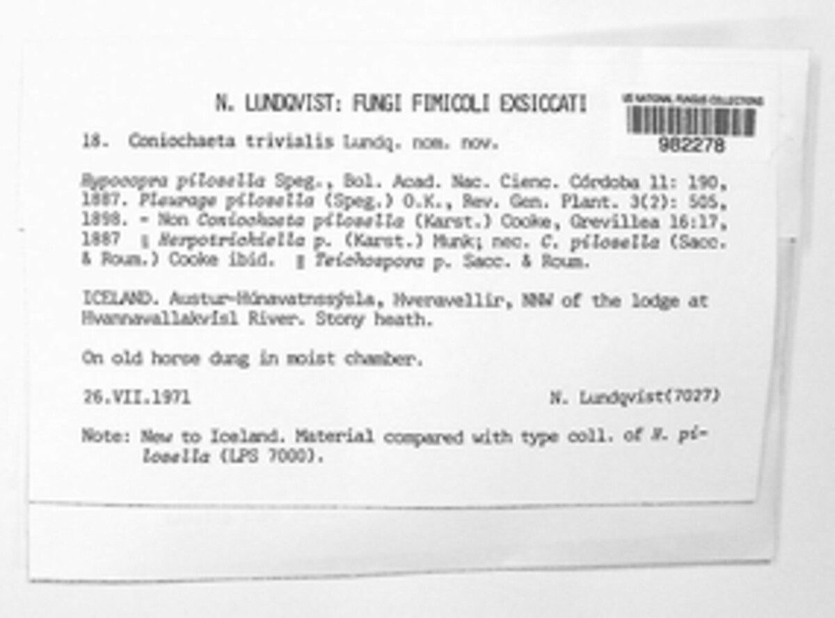 Coniochaetaceae image